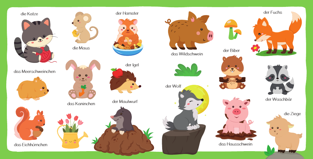Tierbilder mit ihren Namen